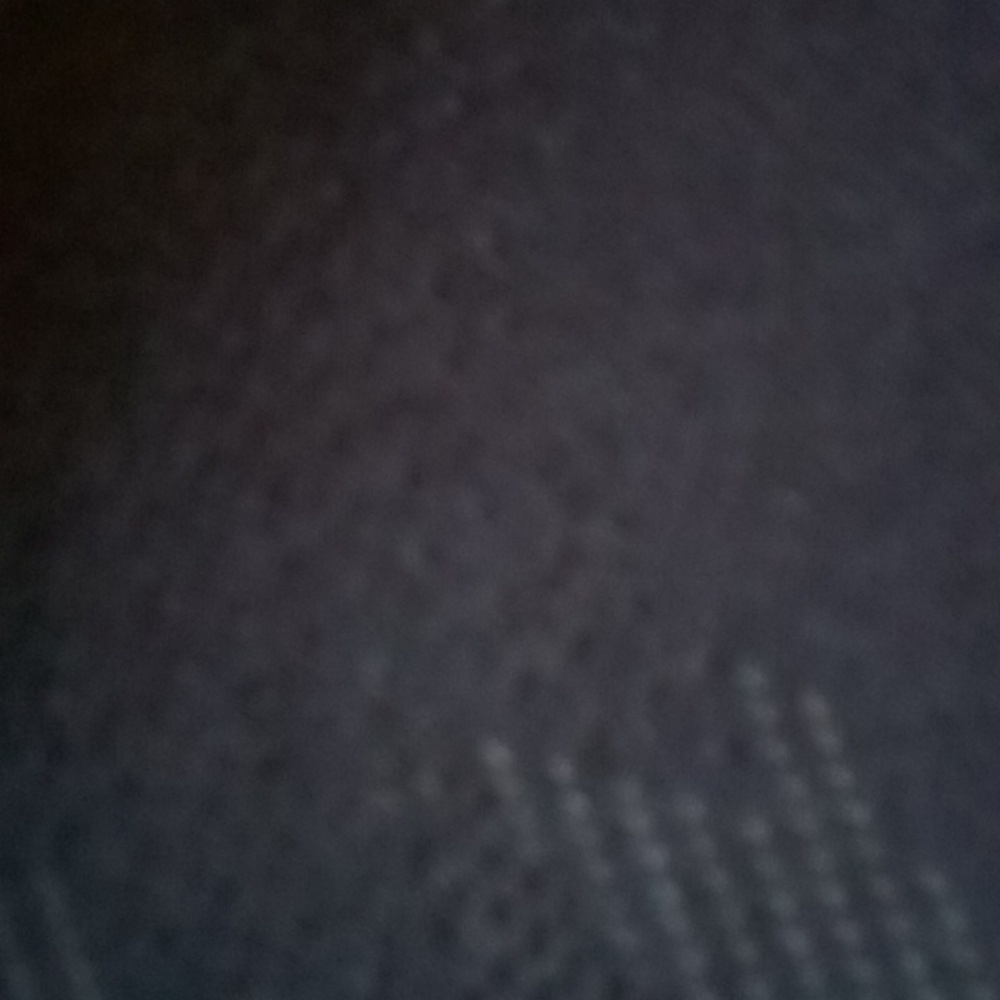 Black shorts my dude